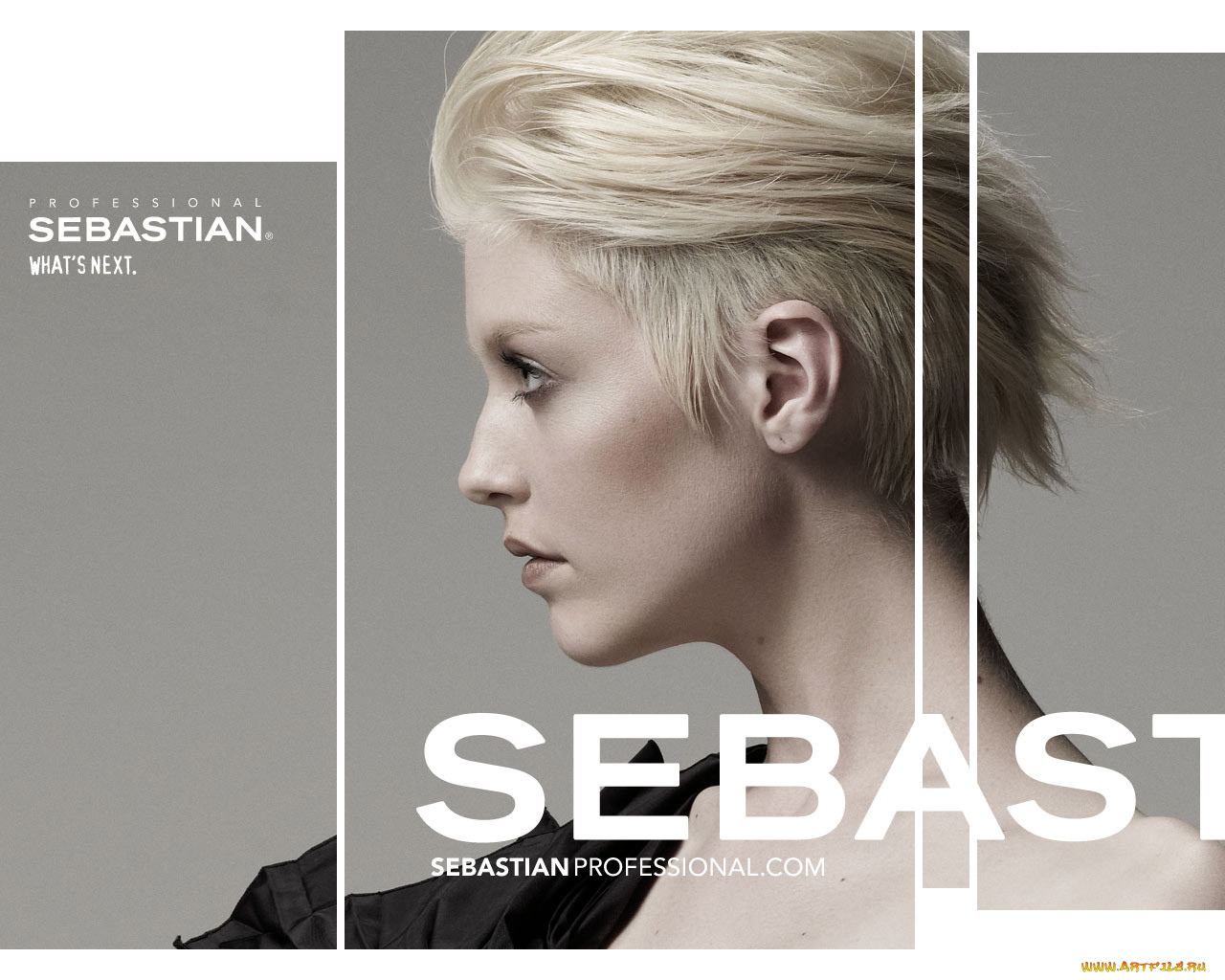 , sebastian